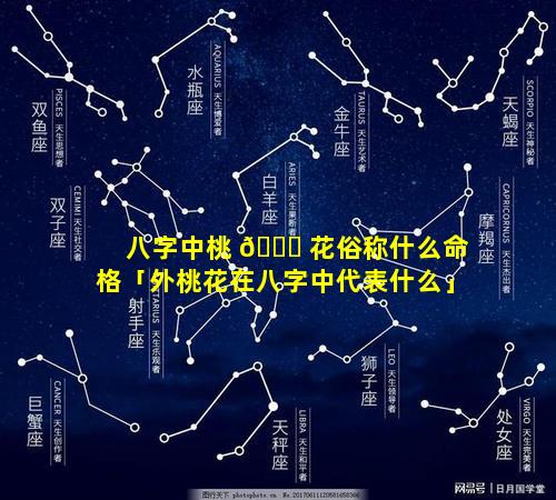 八字中桃 🐟 花俗称什么命格「外桃花在八字中代表什么」